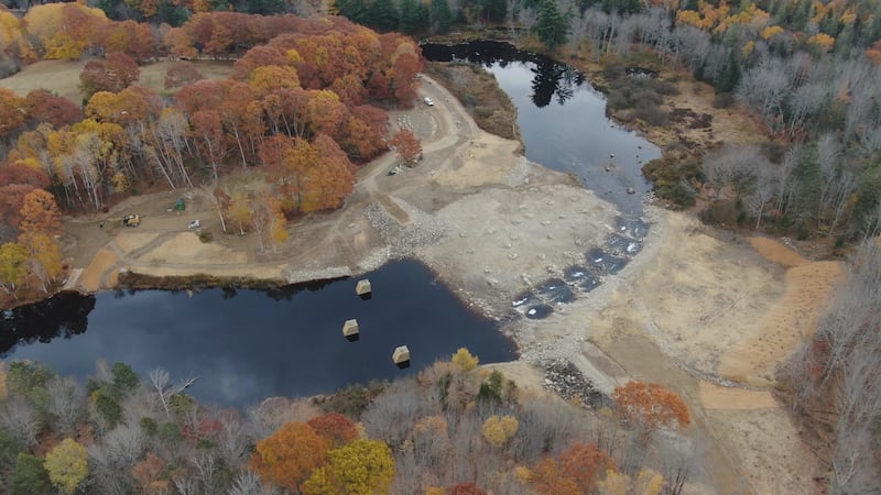 Crews removed Cherryfield's 1961 dam this summer, allowing Atlantic salmon to swim farther...
