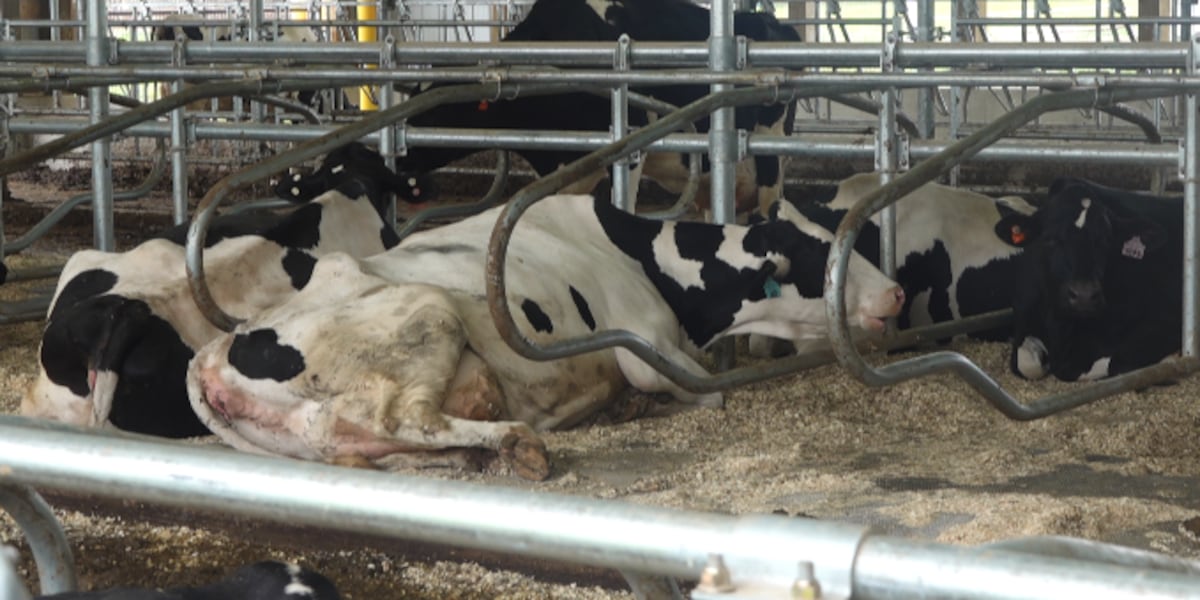 Gov. Mills and others kick off the beginning of Maine Dairy Month Gov. Mills and others kick off the beginning of Maine Dairy Month