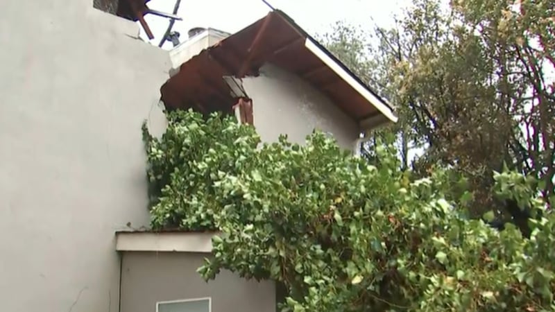A Georgia teen said he narrowly missed being crushed by a tree that came crashing through his...