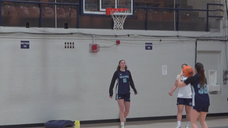 America East-Metro Basketball Challenge