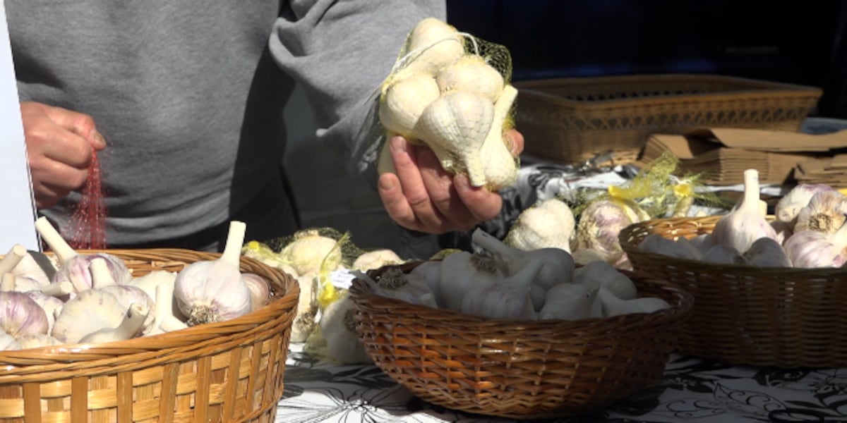 Enjoy Garlic Folks enjoy garlic galore at Maine’s Garlic Fest