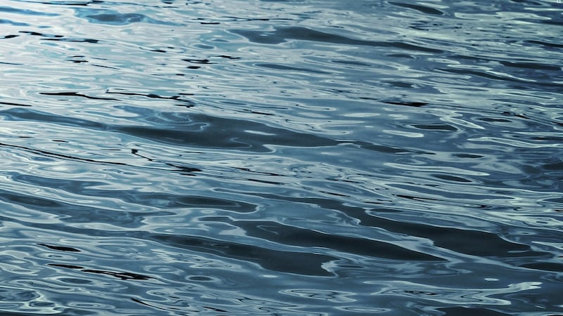 After arriving on Dyer Island, the fisherman, Marshal Ames, 57, of North Haven, was pronounced...