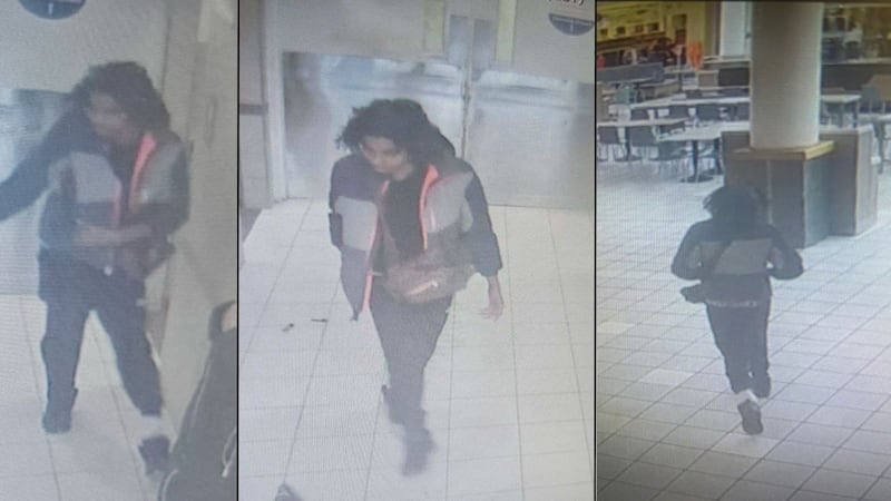 Babies born in 2025 are part of a new generation: Gen Beta