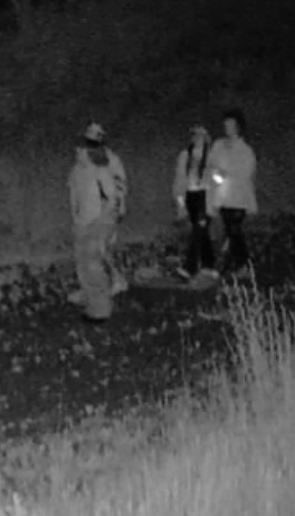 Photo of Hermon burglary suspects