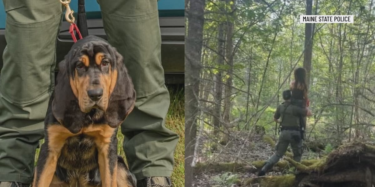 Maine State Police K-9 finds missing 5-year-old girl Maine State Police K-9 finds missing 5-year-old girl