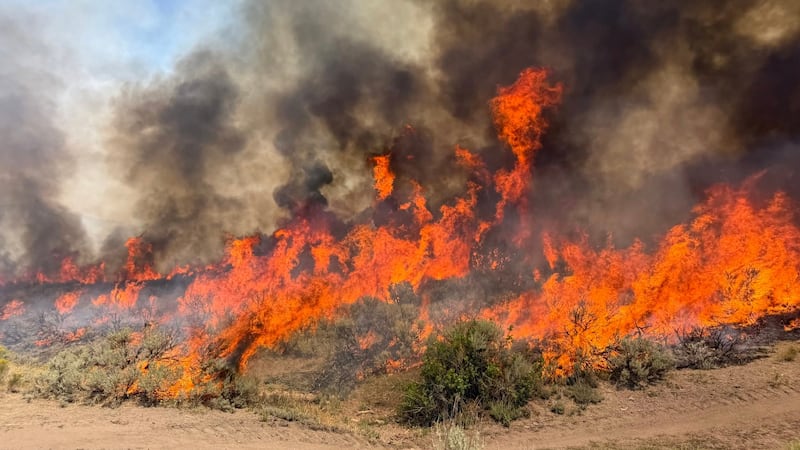 This undated photo provided by the U.S. Forest Service on Friday, Aug. 7, 2026, shows the...