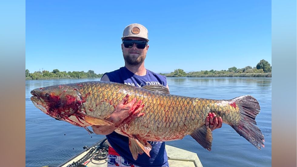 State officials say Riley Farden shattered Idaho's archery grass carp record with a...
