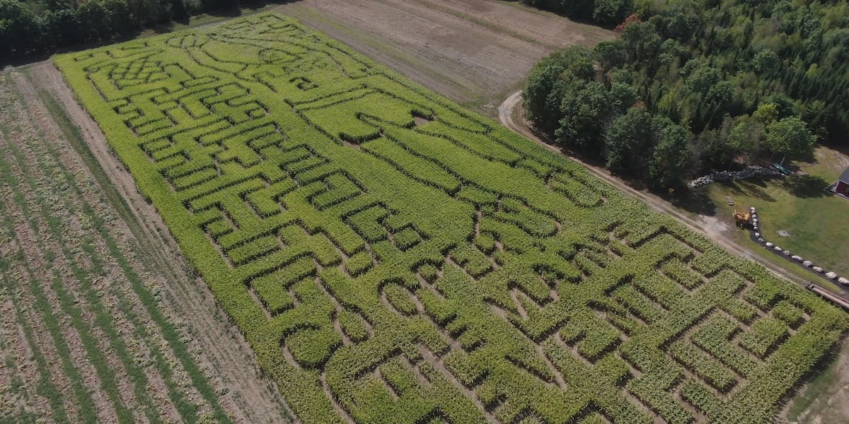 Maine farm creates Cooper Flag corn maze