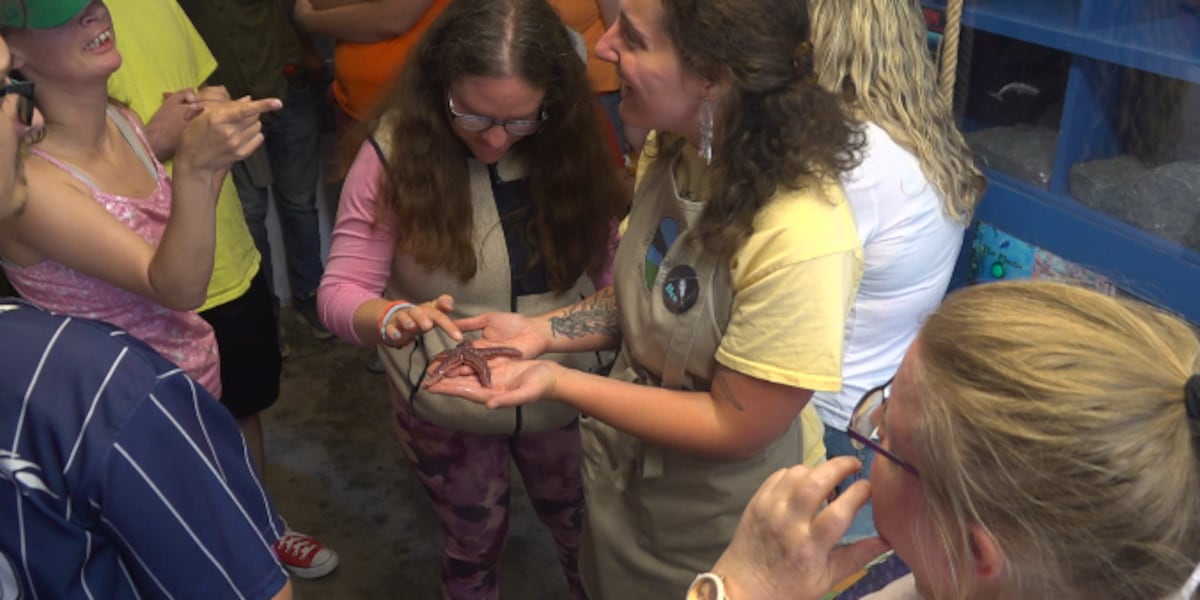 Bringing deep-sea to the surface: Downeast Horizons visit oceanarium