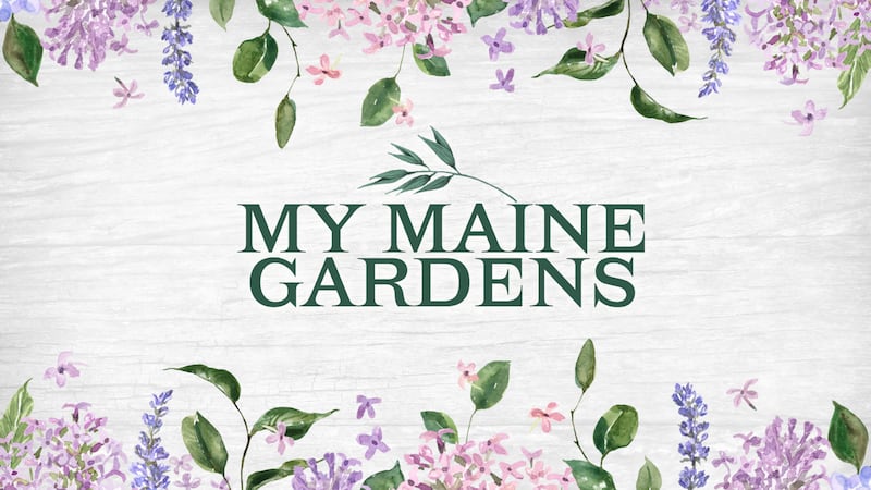 My Maine Gardens