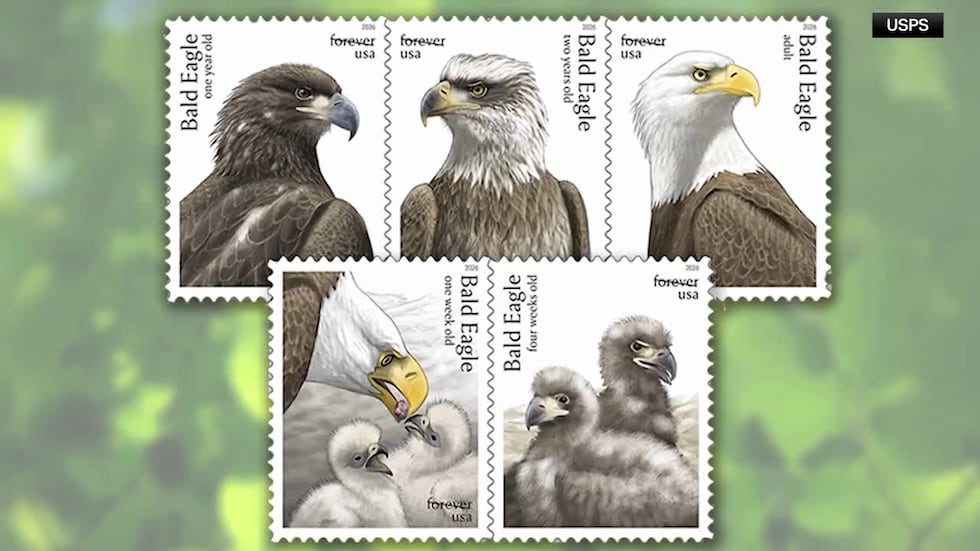 The eagle has long symbolized American values.