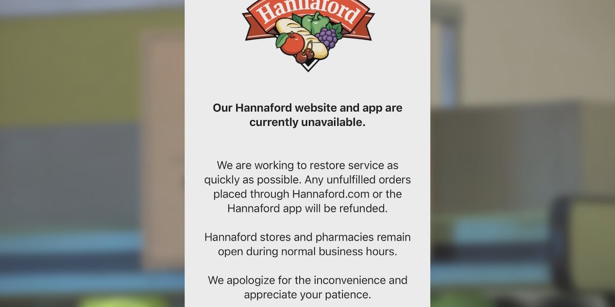 Ahold Delhaize Cyberattack Disrupts Omnichannel Retail | O2O Recovery Opportunities for Sellers