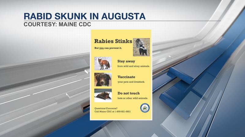 ‘Be Vigilant’: Augusta warns residents of confirmed animal rabies case