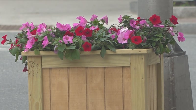 Adopt-A-Garden in Bangor