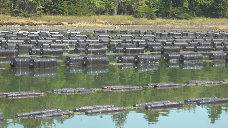 During the late 2010s, owner Arnold Francis re-purposed the facility into an oyster farm after...