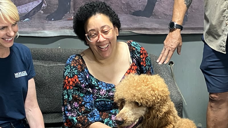 Army veteran Kerrie Porter lost her beloved service dog, Bruno, in March after he was struck...