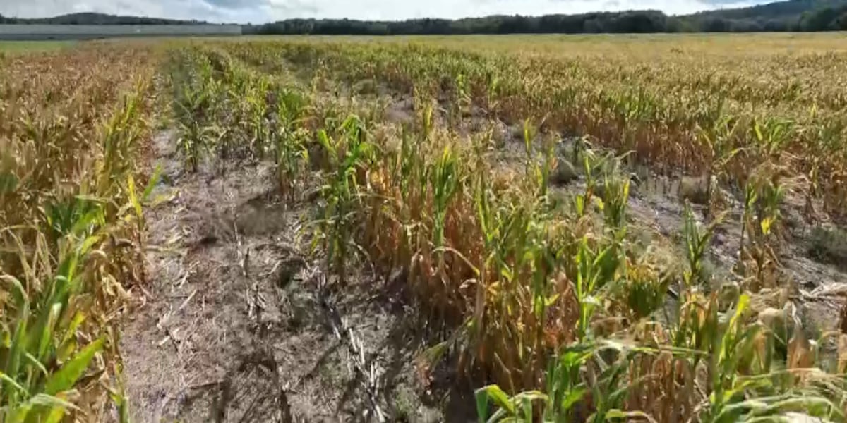 Maine Drought Task Force holds meeting to discuss current situation