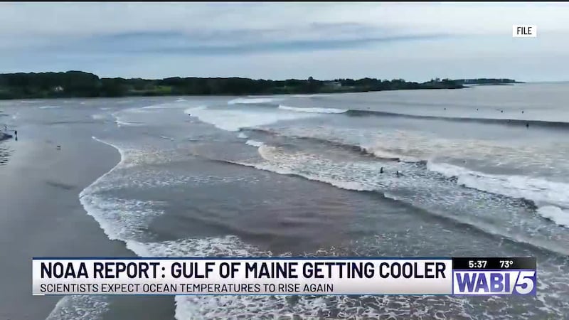 NOAA report finds Gulf of Maine warming slowed for now, but ecosystem remains unstable