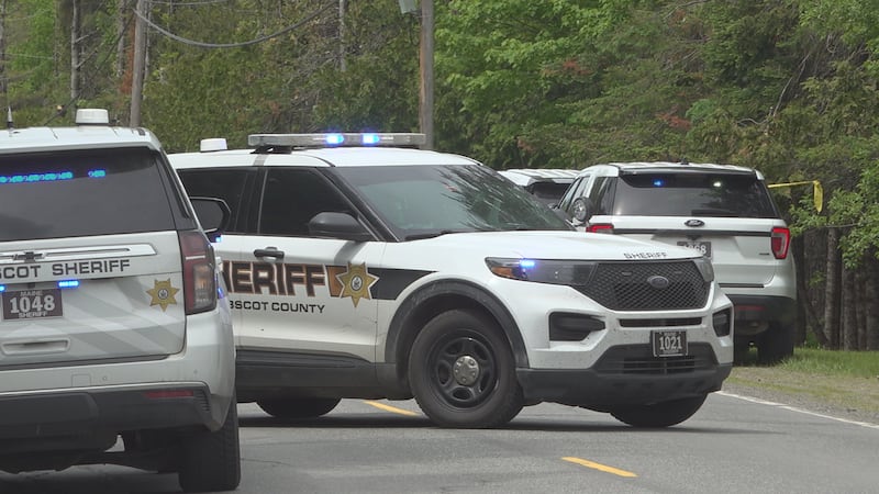 Pedestrian struck and killed in Bradford