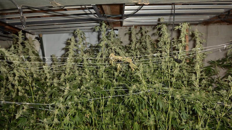 FCSO said its Narcotics Team executed a search warrant at a home in the 1600 block of Hickory...