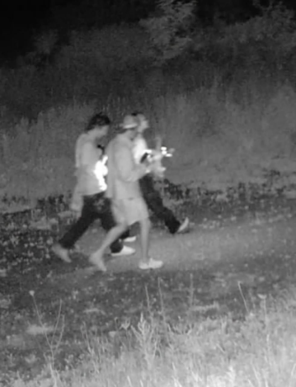 Photo of Hermon burglary suspects