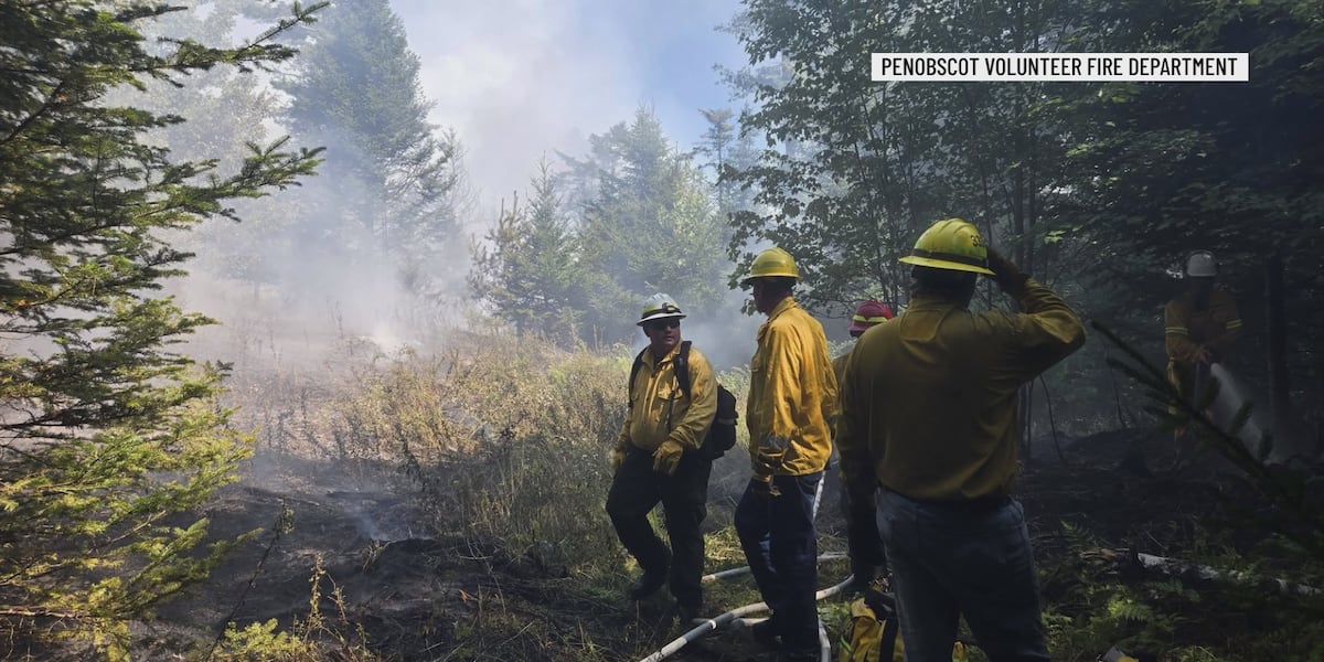 Wildland fire contained in Penobscot