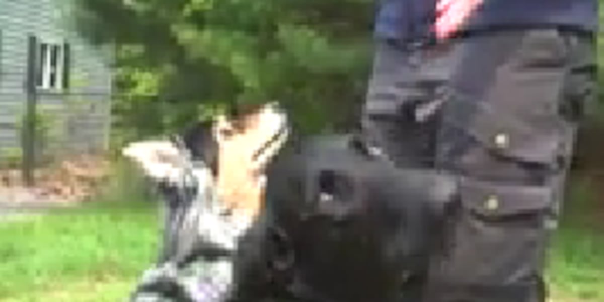Conservation Sniffing Canines- Part One