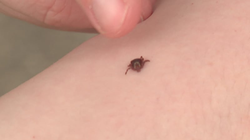 Powassan virus is a rare but severe tick-borne illness that attacks the central nervous system.