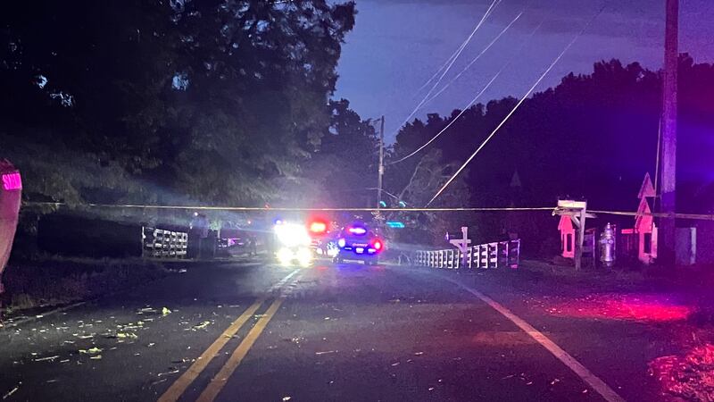 A fatality was reported after a large tree limb fell on a car in Cherokee County.