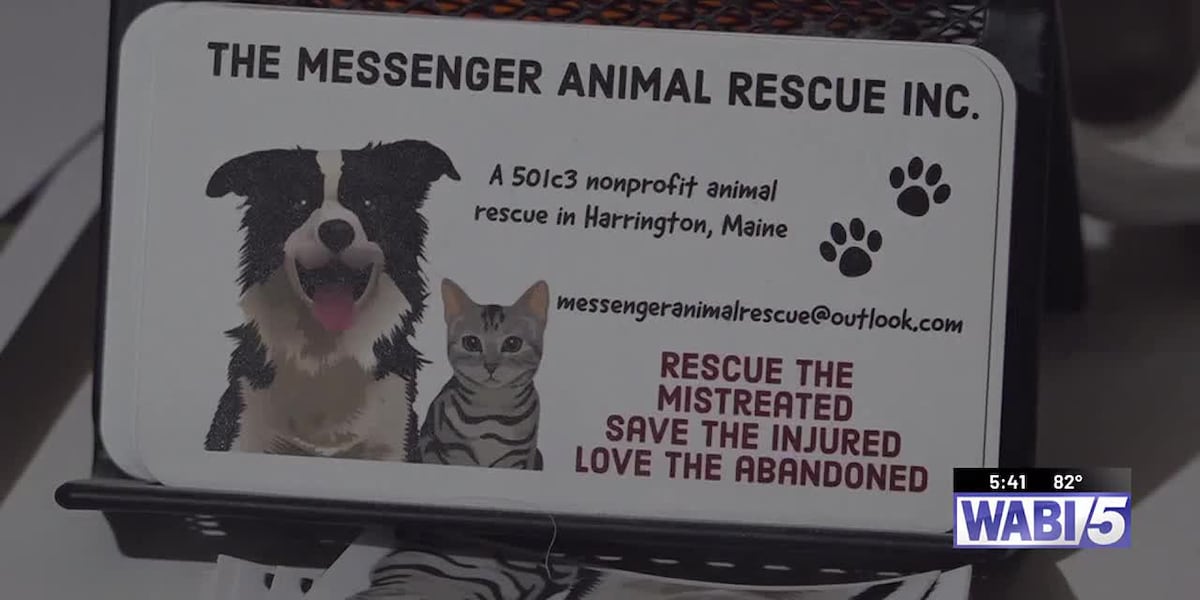Maine animal control officer opening shelter in Washington County