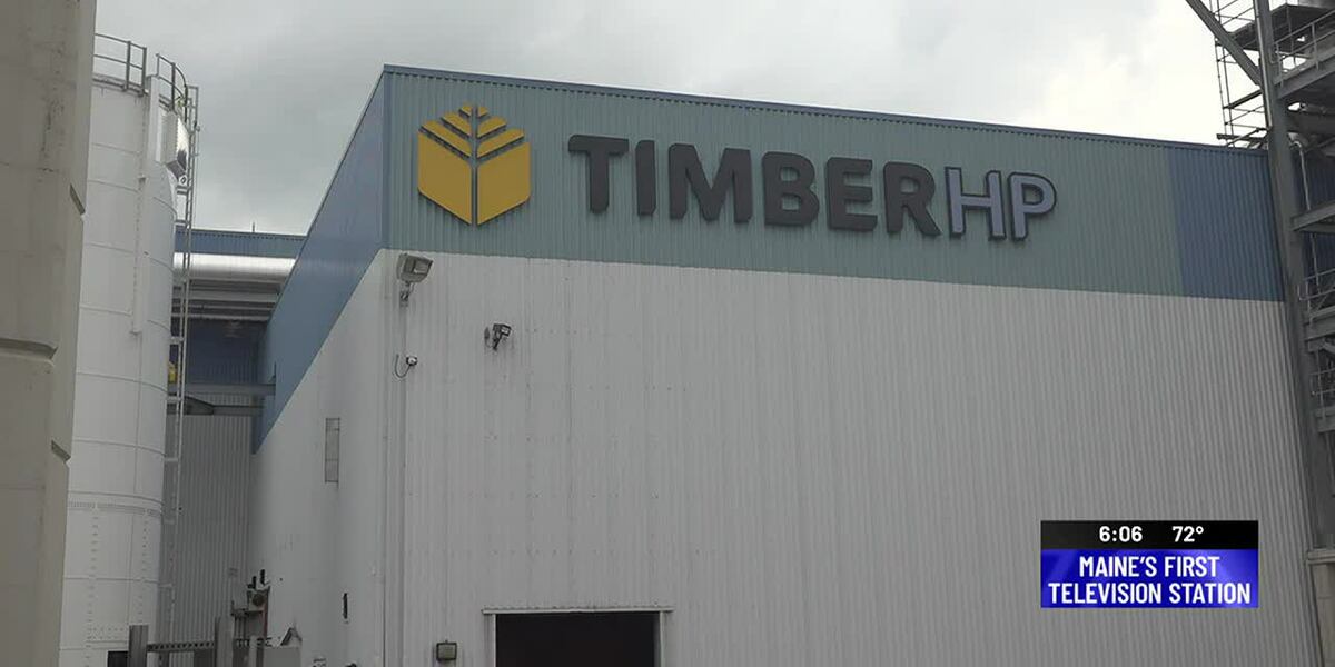 Hp Shell Timber Timber HP officially opens for business