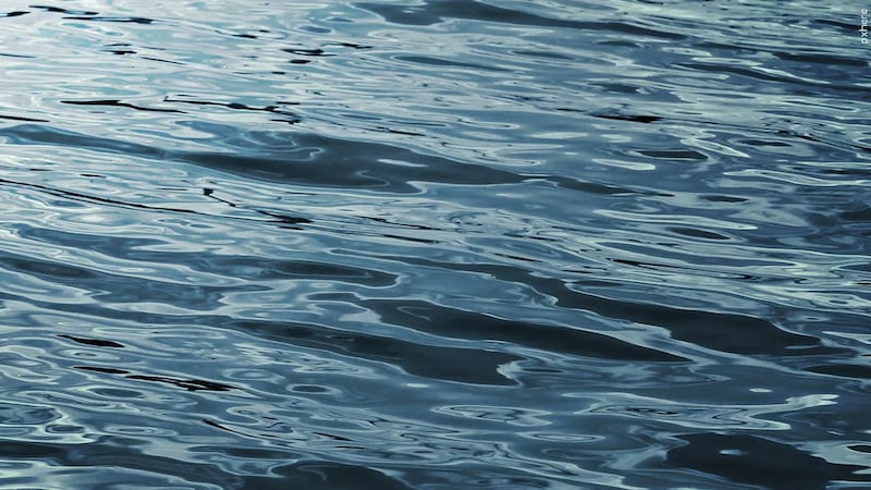 The swimmer who rescued a young girl caught in a rip current has been identified.