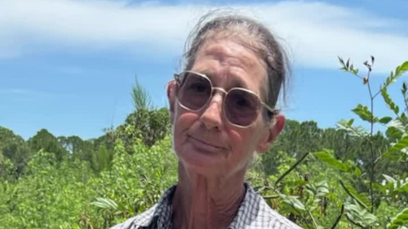 GRAPHIC: A Florida woman is charged with animal cruelty after allegedly stabbing a horse...